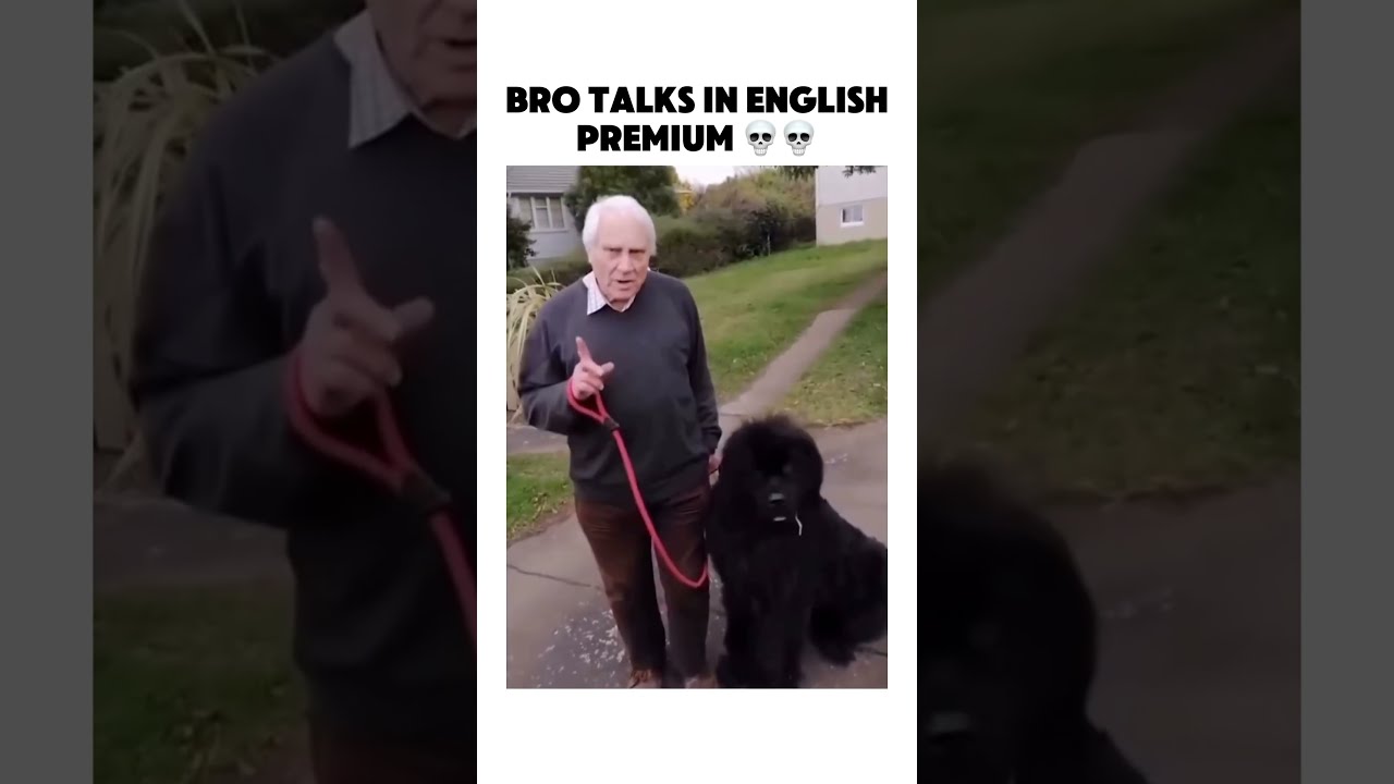  Not Quite Bruh Subscribe Trending Memes Meme Dog Dogs Funny