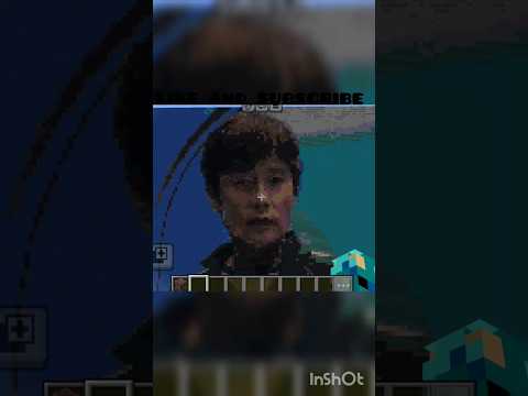 Minecraft player001[front man]