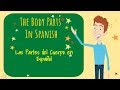 Learn the body parts in spanish el cuerpo the body