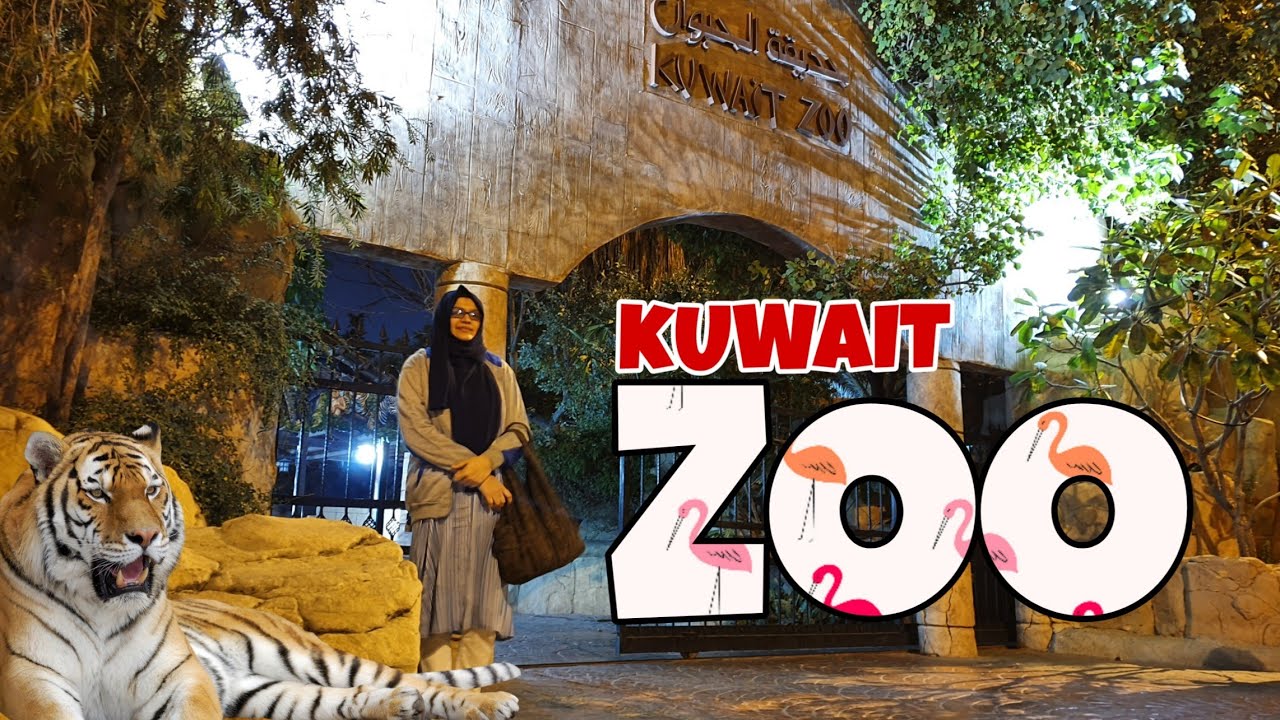 Kuwait Zoo കുവൈത്തിലെ മൃഗ ശാല കാണാം YouTube