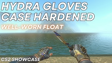 Hydra Gloves Case Hardened (Well-Worn) | CS2 Skin Showcase #1263