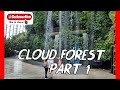 CLOUD FOREST PART 1