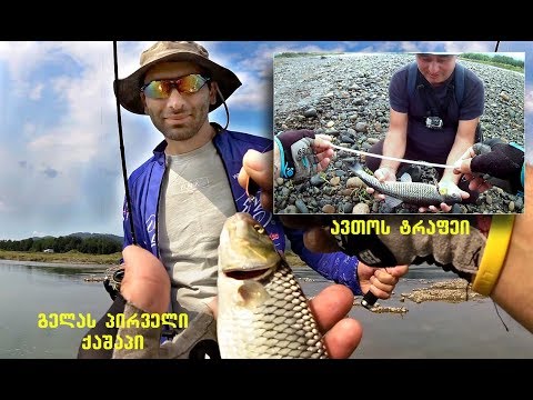 გელას პირველი ქაშაპი და ავთოს ტრაფეი