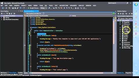Asp.Net Mvc Error Page
