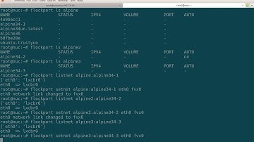 Flockport Add Vxlan Networks