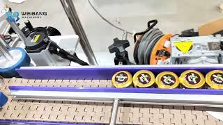 Automatic Positioning Labeling Machine | Precision Label Applicator for Round & Flat Bottles