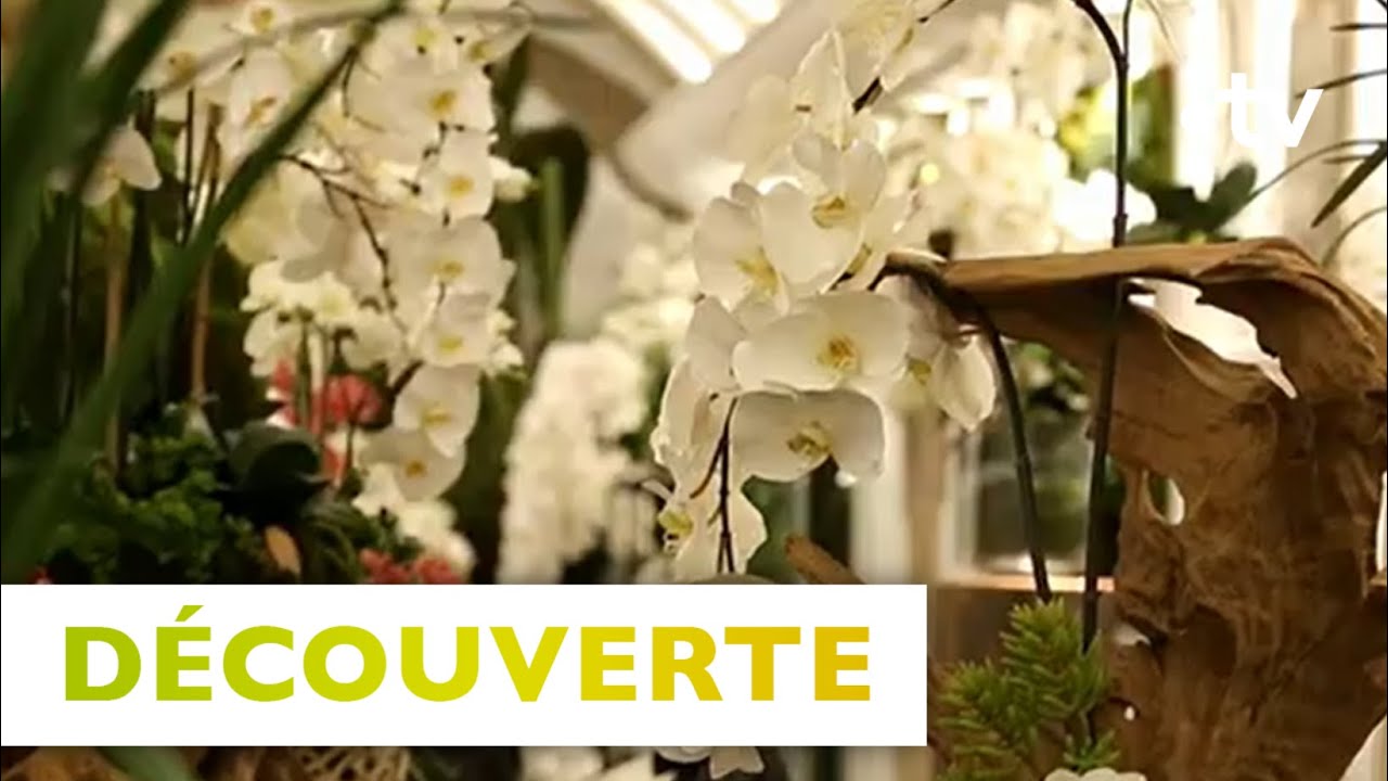 Les fleurs artificielles - Silence, ça pousse !