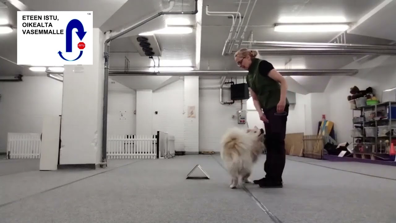 Rally toko 2026 ALO  osa3.  kyltit 123-136