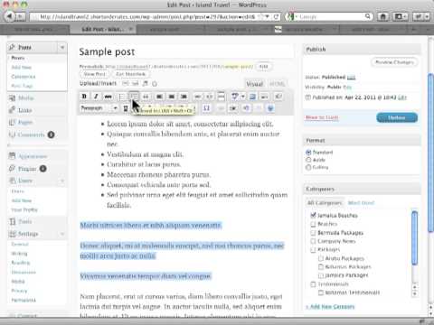 Creating Lists in New Post Editing Wordpress
