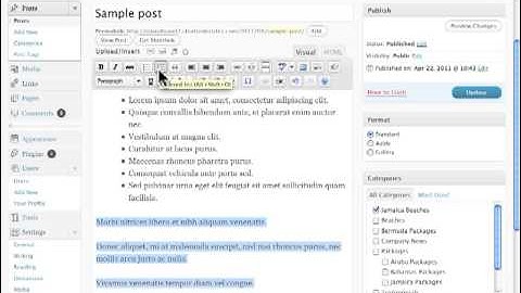 Creating Lists in New Post Editing Wordpress