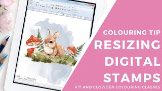 Colouring Tip: Easily Resize + Use Digital Stamps