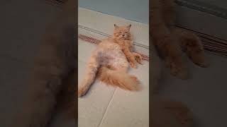 It Was Observed That He Needed A Power Charger First