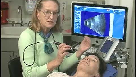 Basic B Scan Examination Techniques 3