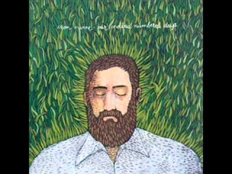 Iron & Wine - Passing Afternoon