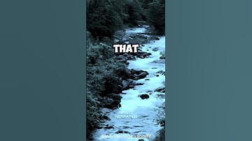 Setting Goals Is the First Step in Turning the Invisible Into the Visible" - Tony Robbins