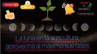 FASES DE LA LUNA EN LA AGRICULTURA/ Que labores realizar cultivos adecuados en cada ciclo lunar