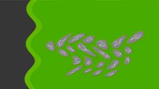 Out Of Luck Daisy The Lift In C Major