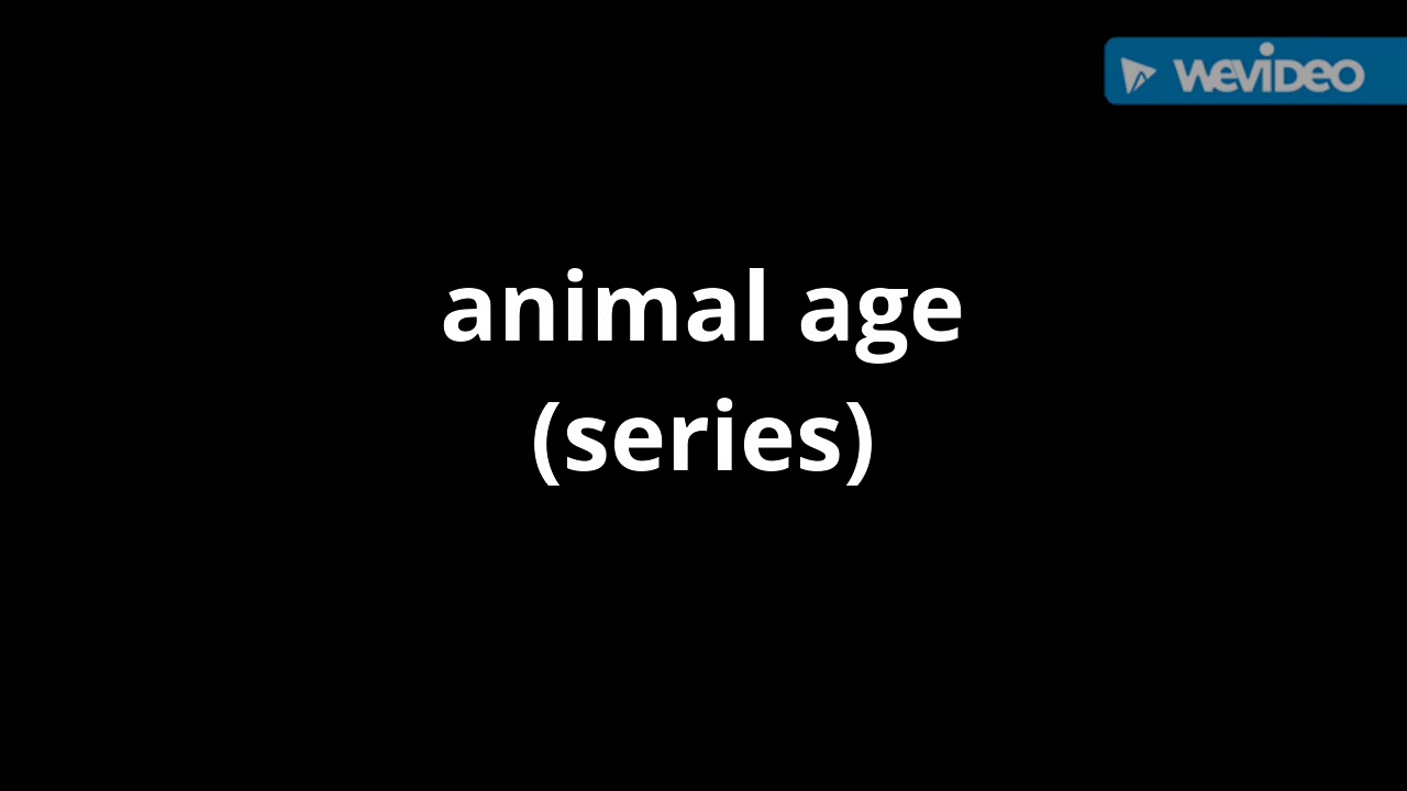 animal age years animal age years