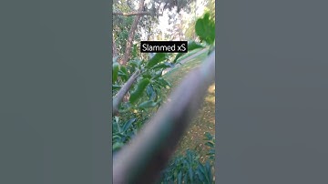 I Got New Equipment, Let Me Know What You Think :) #drone #4k #fpv #crash #gaming