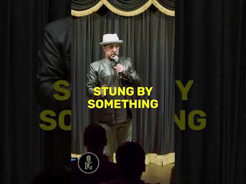 My Wifes Feet