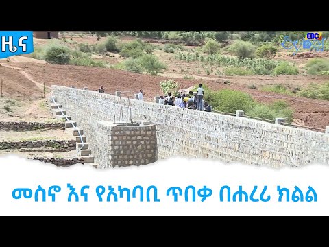 ቪዲዮ: አካባቢ። ዓለም አቀፍ የአካባቢ ጥበቃ