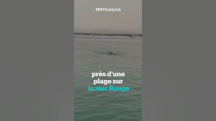 Un Russe tué par un requin en mer Rouge