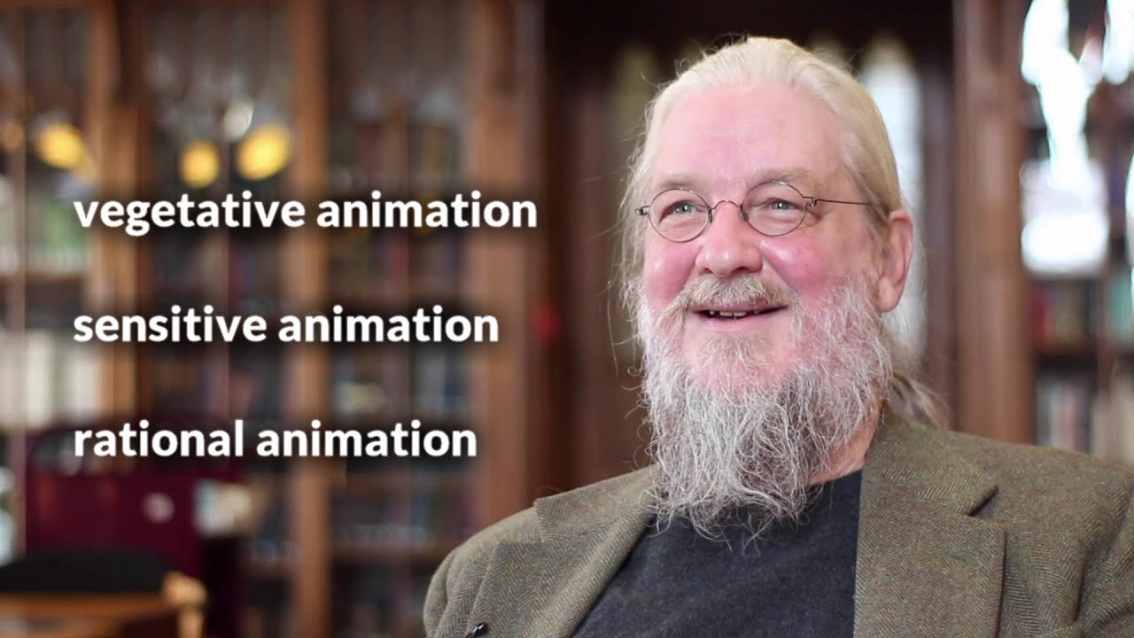 Why Weren't Humans Created Fully Mature? - John Behr