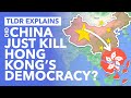 Hong Kong's New Democracy Laws Explained: Did China Kill Democracy in Hong Kong? -  TLDR News