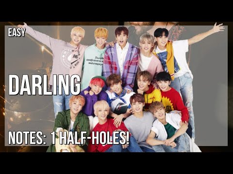 How to play Darling by Seventeen on Tin Whistle (Tutorial)