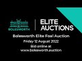 Elite Foal Auction 2022 | Lot 6 | Miss Comil Faut JH