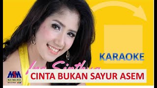 CINTA BUKAN SAYUR ASEM-KARAOKE-Ine Sinthya