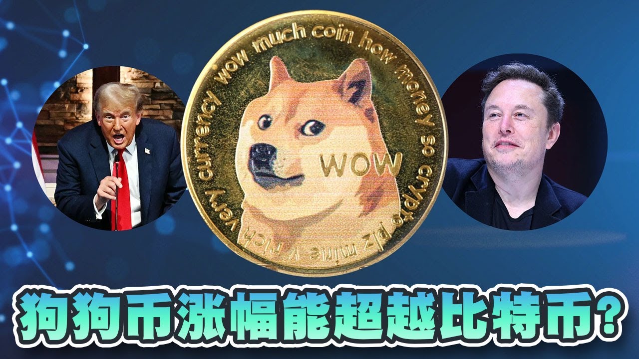 狗狗币能超越比特币？马斯克言论引发狗狗币7天上升22%！知名交易员：短期目标价可达0.2美元｜Cryptonews - YouTube