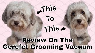 Review on The Gerefet Pet Grooming Vacuum | I Didnt Think It Would Turn Out This Way!