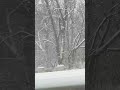 #travel #chicago #shortvideos #shortsviral #2026 #youtubeshorts #youtuber #ytshorts