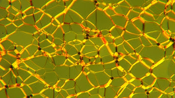 Liquid Crystal Phase Transition 1 (Nematic to Isotropic and Isotropic to Nematic)