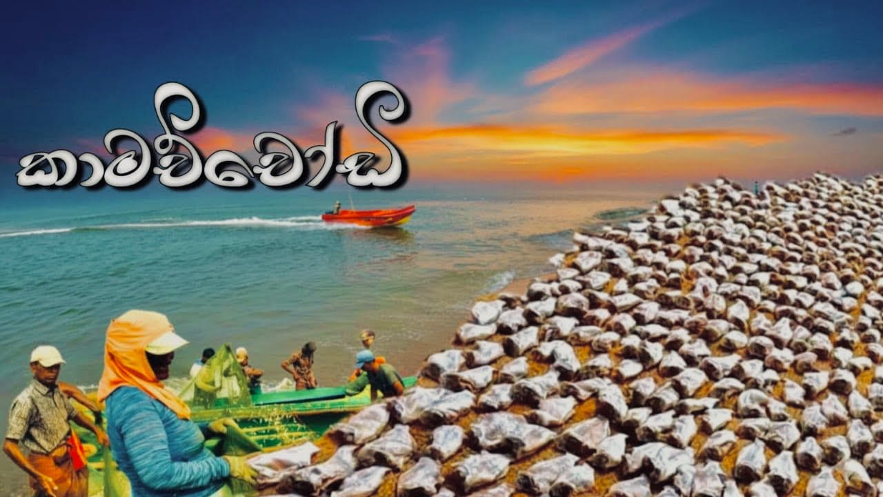 මීගමුවෙ කරවල වාඩියට ගියා 😯🦈🌴 | Negombo Dry Fish Yard | Browns Beach Sri Lanka @Travelerashan