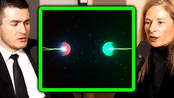 Will AI discover new physics | Lisa Randall and Lex Fridman