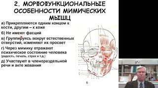 Анатомия. Функциональная анатомия опорно двигательного аппарата головы и шеи