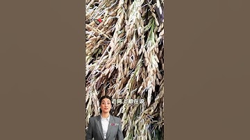 #fcnfm Transforming Agricultural Processing for a Better Future