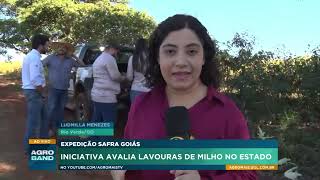 Expedição Safra Goiás acompanha desenvolvimento das lavouras de milho