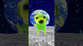 ALEXA PLAY RAT DANCE