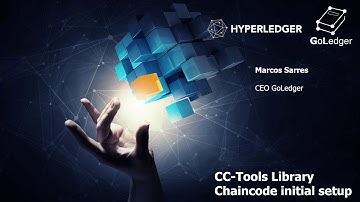Hyperledger Fabric Chaincode Tools (CC-Tools) initial setup
