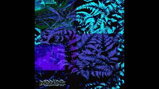 Middling - This I Know for Certain (2026)