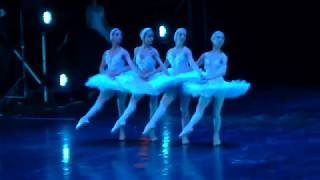 Clip from the Danse des petits cygnes from Swan Lake