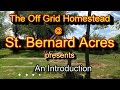 Welcome to the off grid homestead  st bernard acres