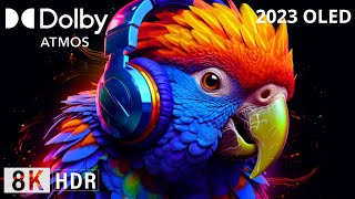 Best Mix 2023, 8K Hdr Dolby Atmos, 60Fps Dolby Vision!