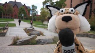 Cats on Campus - Occupy Bozeman