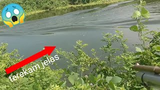 Paser ikan// terekam jelas saat narik ikan@habibmuhammad201