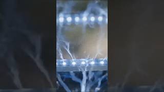 Mini Tesla Coil.