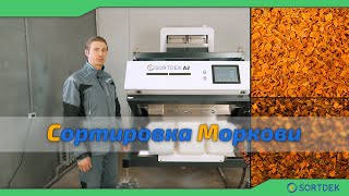 Сортировка сушеной моркови
